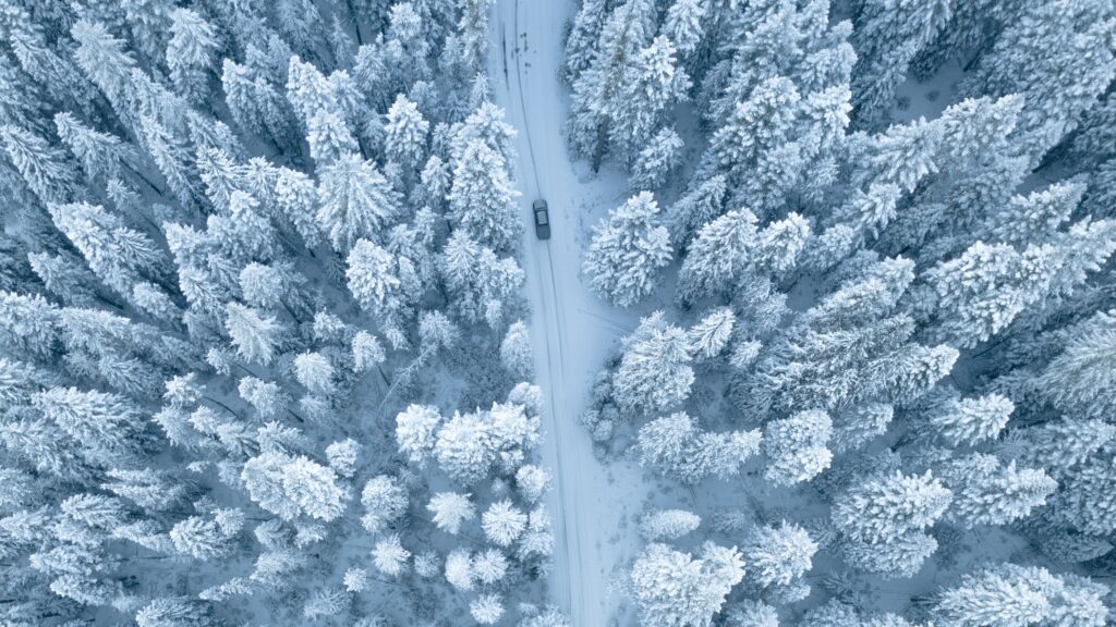 Meilleur pneu hiver pour voiture. Une route neigée et entourée d'arbres blancs.