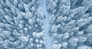 Meilleur pneu hiver pour voiture. Une route neigée et entourée d'arbres blancs.