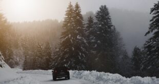 Une forêt pleine d'arbres et de neige. Au fond, une voiture noire. Loi montagne