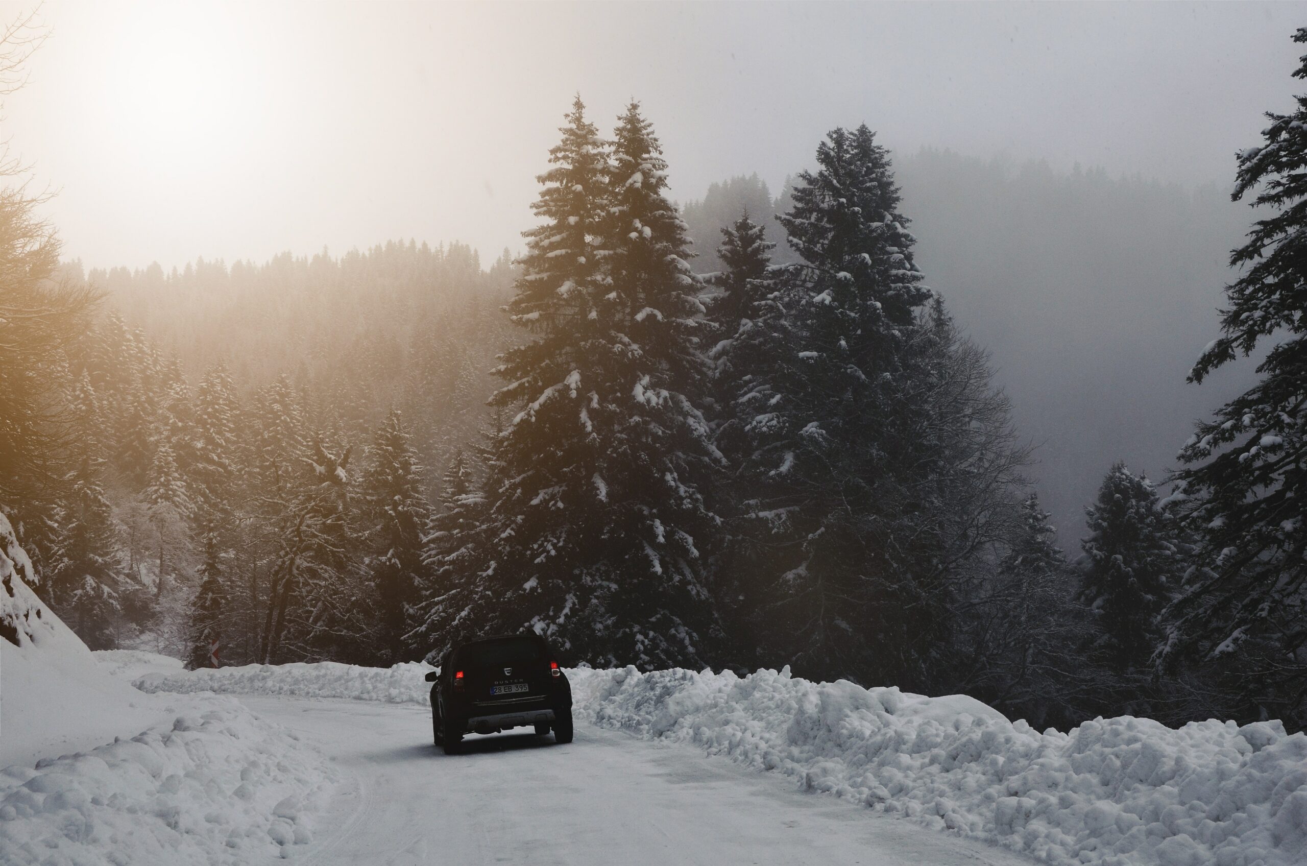 Une forêt pleine d'arbres et de neige. Au fond, une voiture noire. Loi montagne