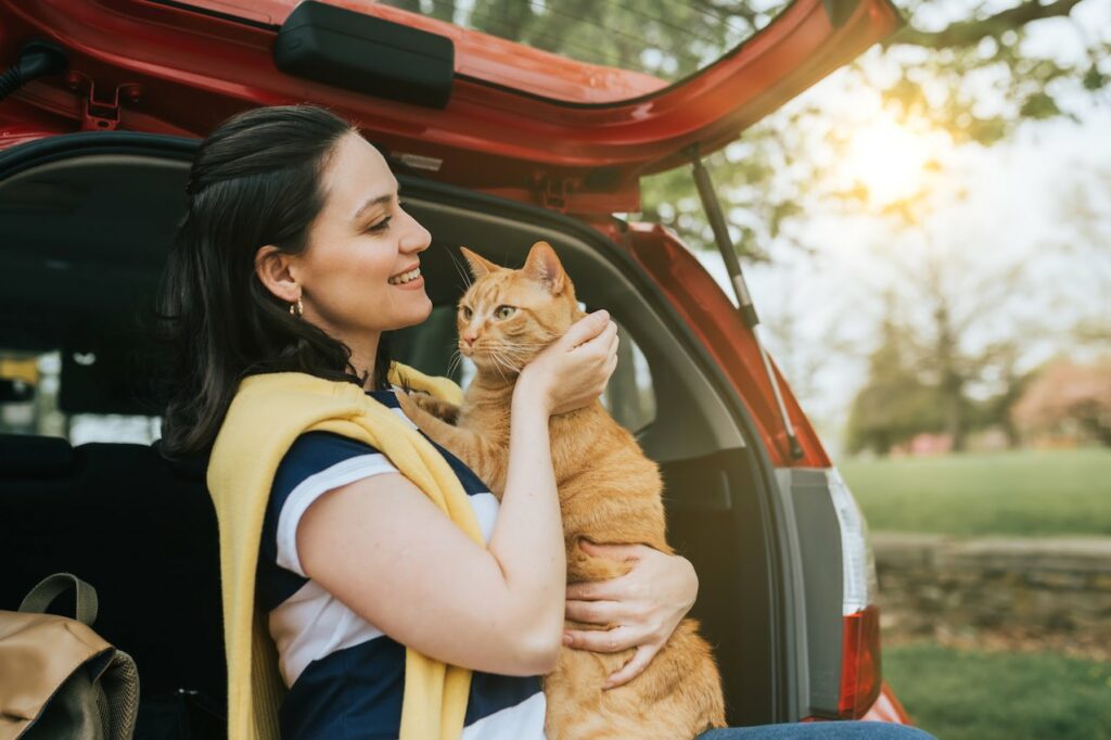 voyager avec un chat en voiture
