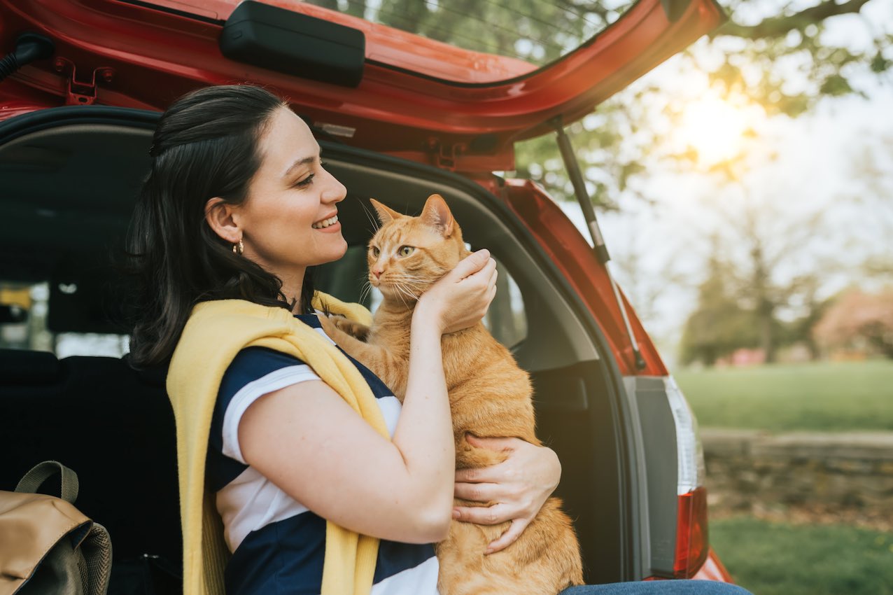 voyager avec un chat en voiture